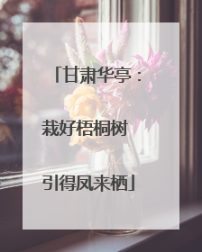 甘肃华亭：栽好梧桐树 引得凤来栖